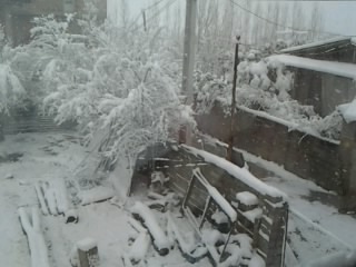 اینم برف مازندران